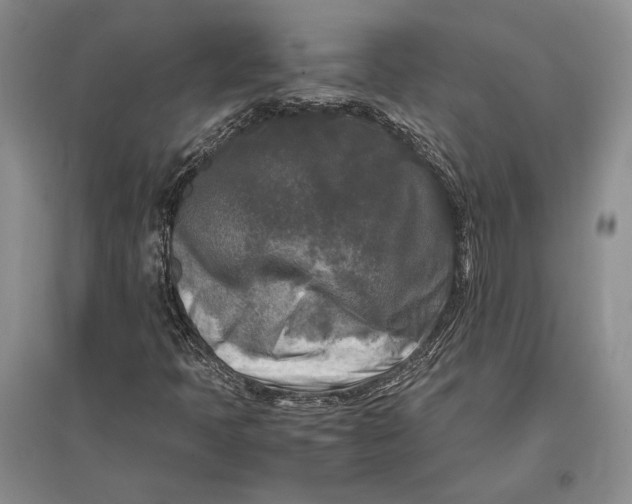 X0000096981397200802291134