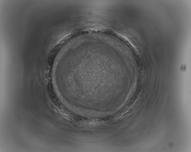 X0000096981399200802291134