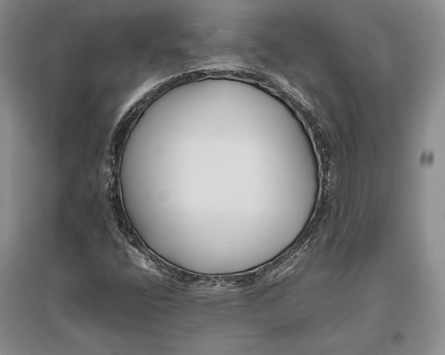 X0000096981400200802291134