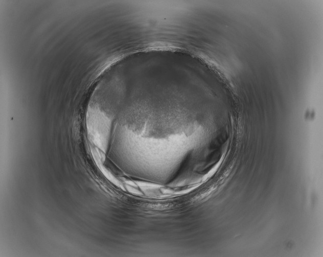 X0000096981401200802291134