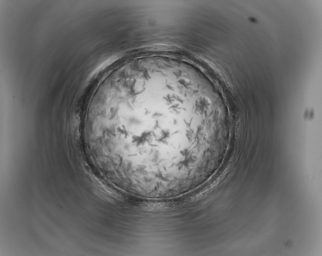 X0000096981402200802291134