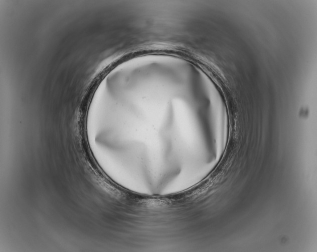 X0000096981404200802291134