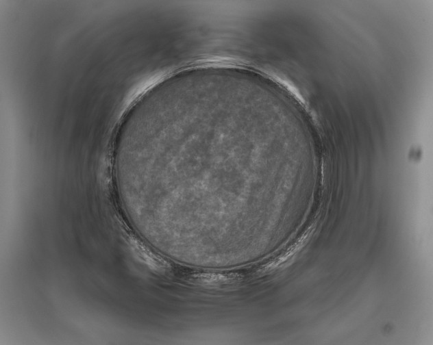 X0000096981405200802291134