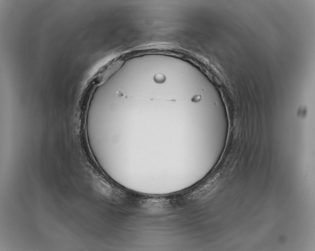 X0000096981406200802291134