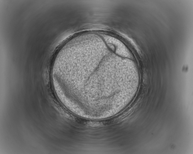 X0000096981407200802291134