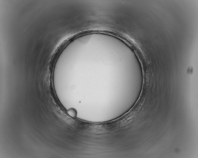 X0000096981408200802291134