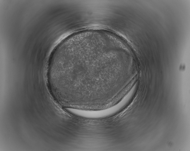 X0000096981410200802291134