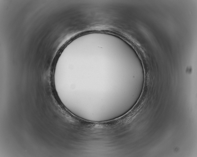 X0000096981412200802291134