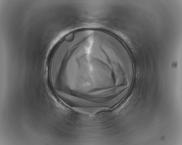 X0000096981414200802291134