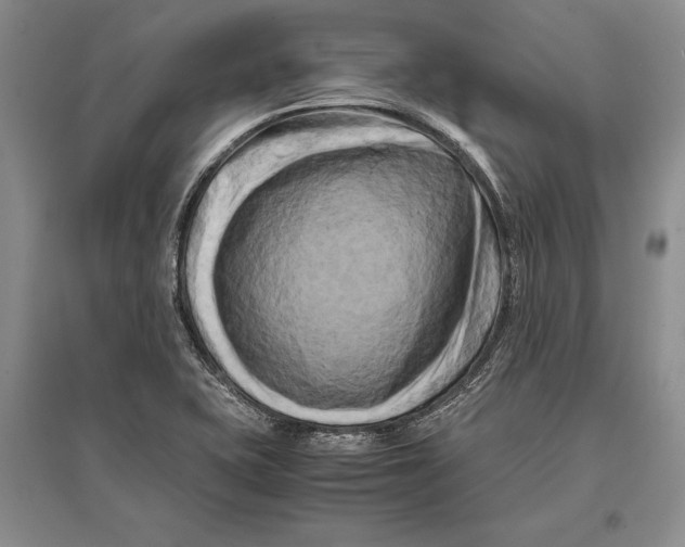 X0000096981415200802291134