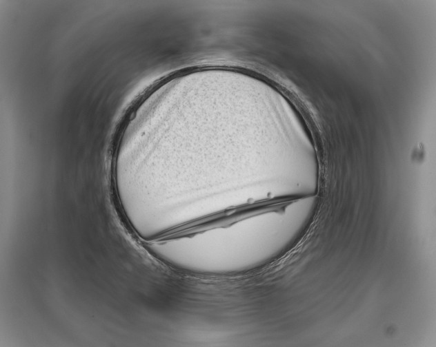 X0000096981416200802291134