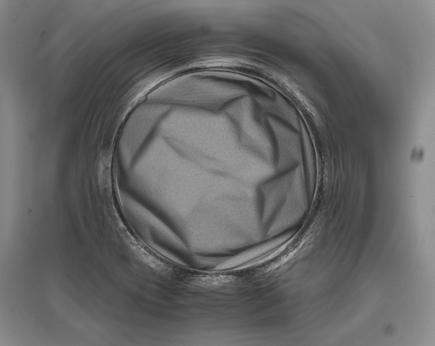 X0000096981417200802291134