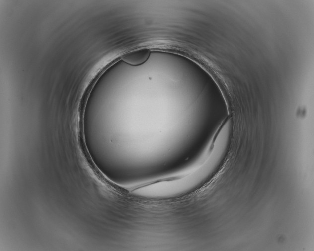 X0000096981418200802291134