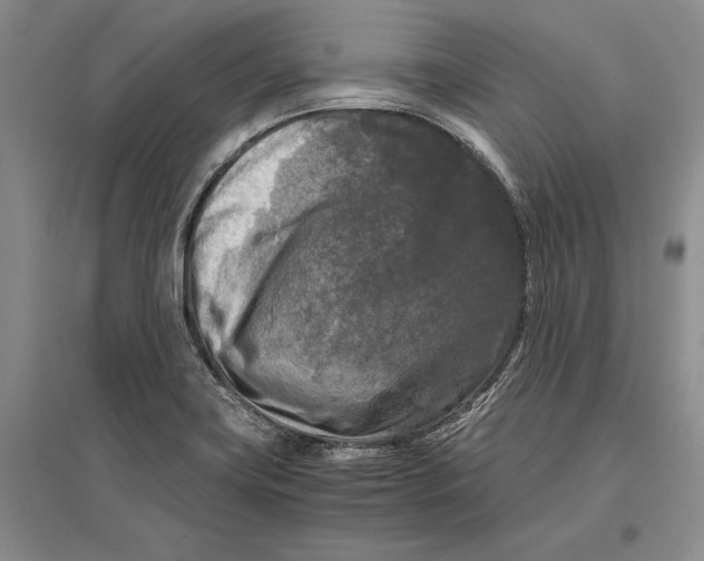 X0000096981419200802291134