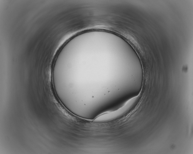 X0000096981420200802291134