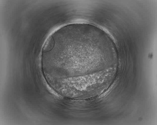 X0000096981421200802291134