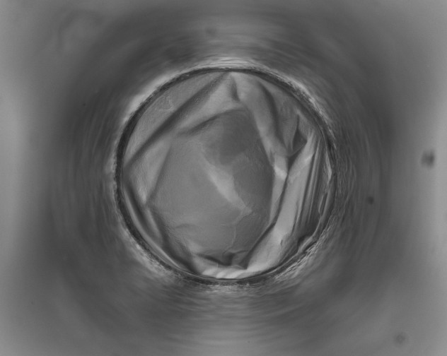 X0000096981422200802291134