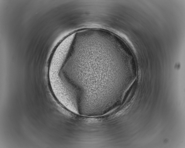 X0000096981424200802291135