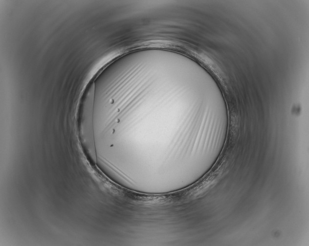 X0000096981426200802291135