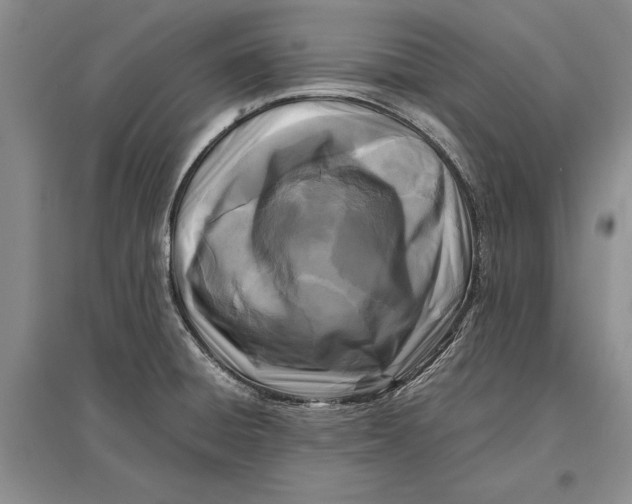 X0000096981428200802291135