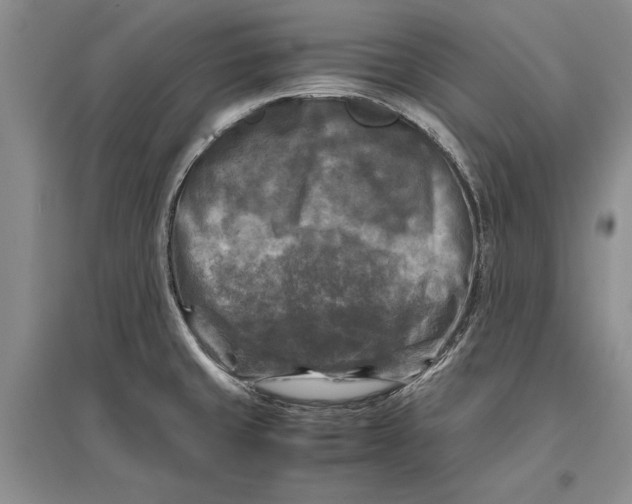 X0000096981429200802291135