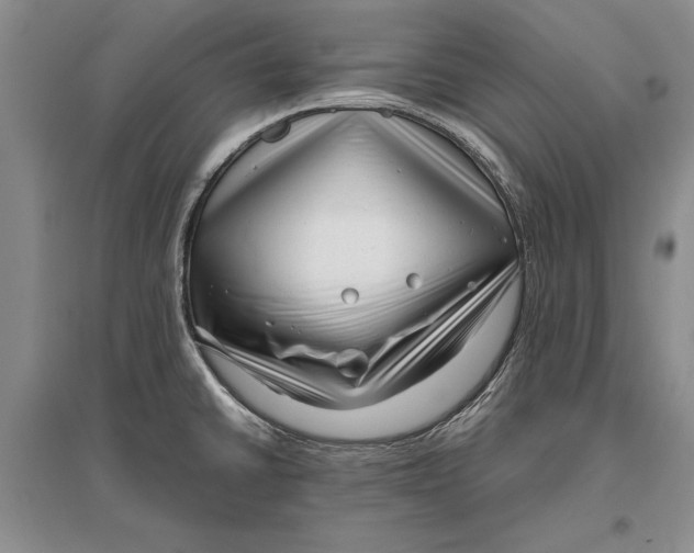 X0000096981430200802291135