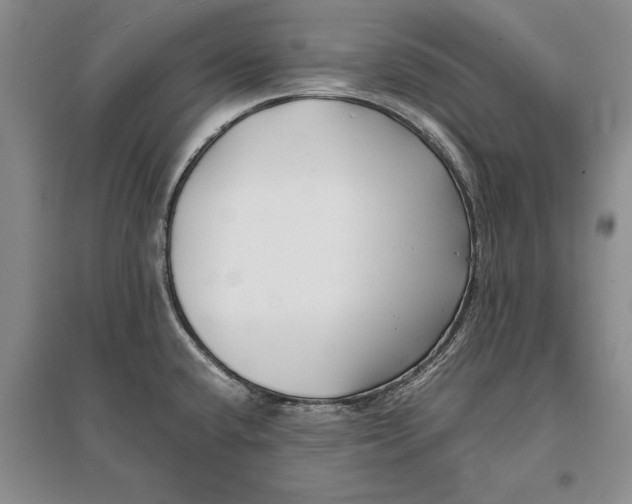 X0000096981432200802291135