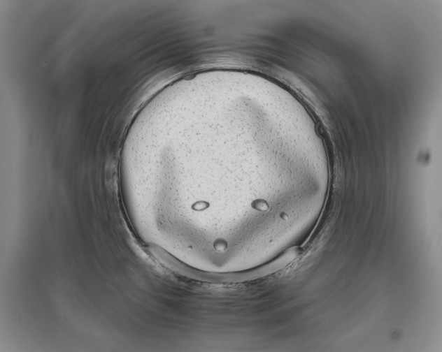 X0000096981433200802291135