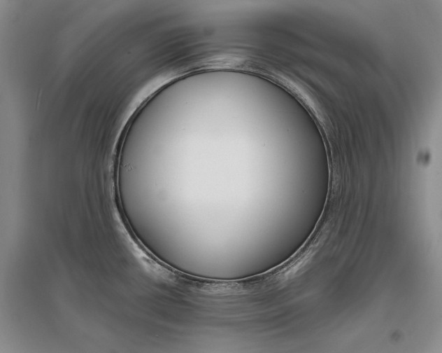 X0000096981434200802291135