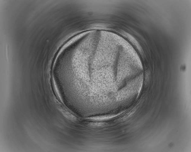 X0000096981435200802291135