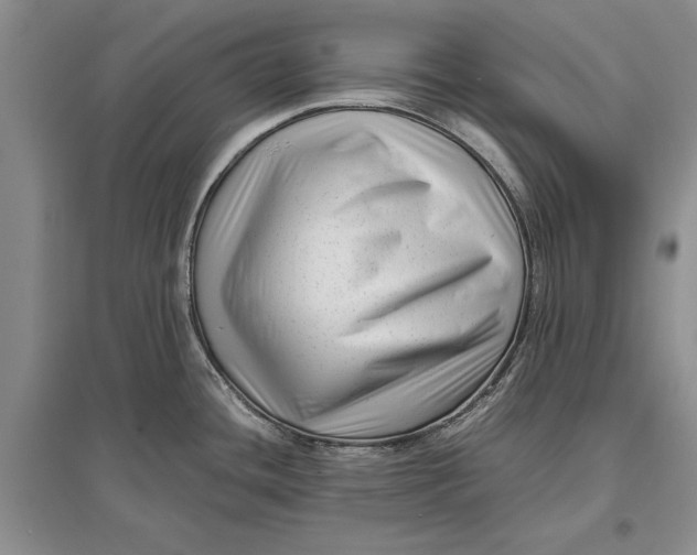 X0000096981436200802291135