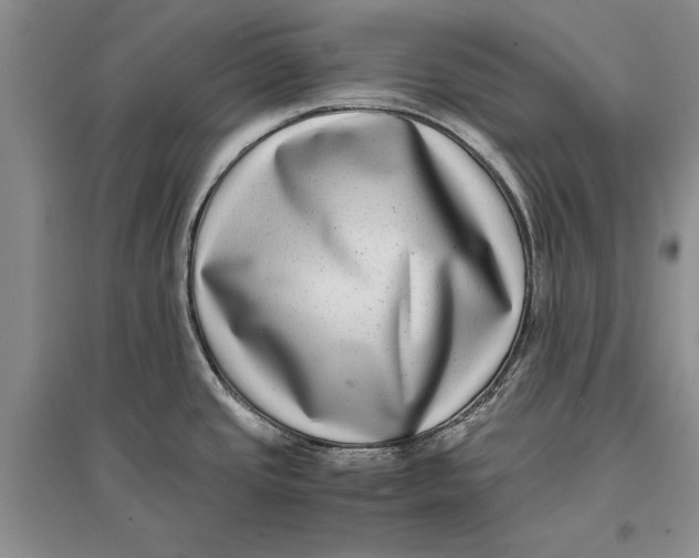 X0000096981437200802291135