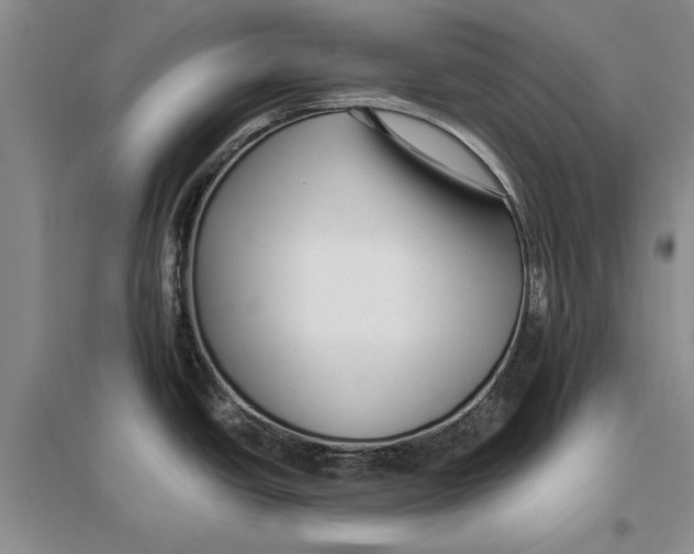 X0000096981438200802291135