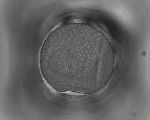 X0000096981439200802291135