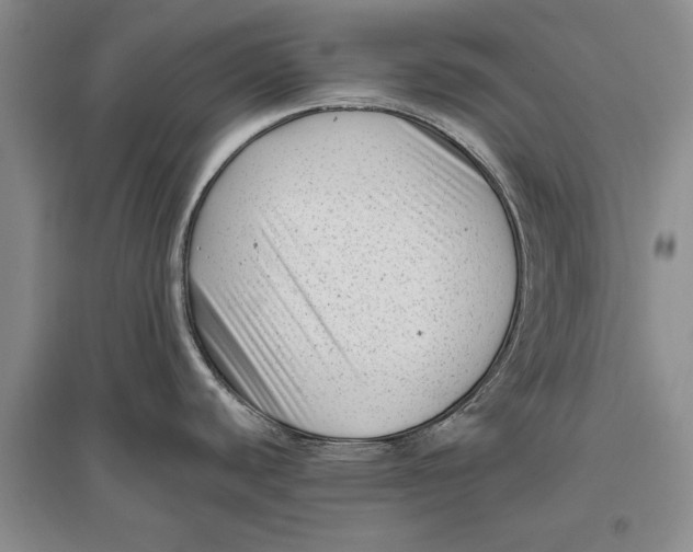 X0000096981440200802291135