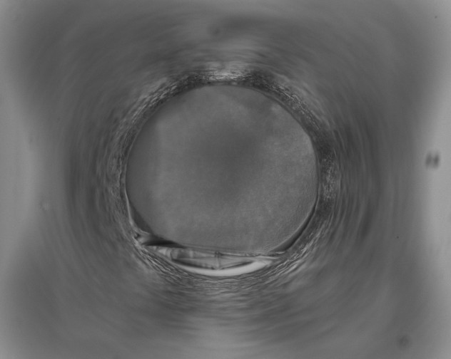 X0000096981441200802291134