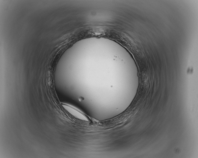 X0000096981442200802291134