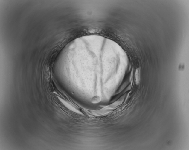 X0000096981443200802291134