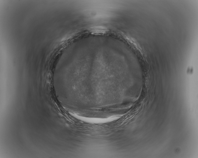 X0000096981445200802291134