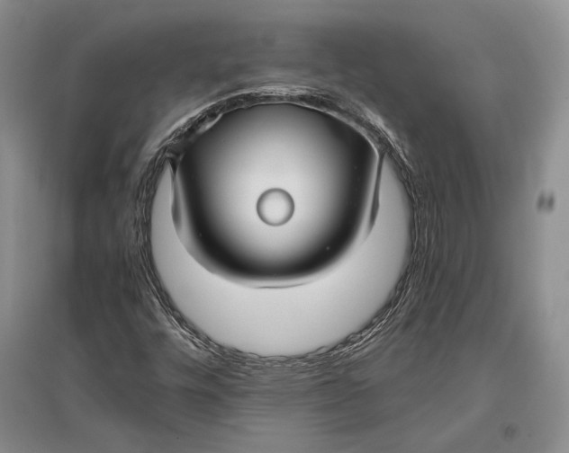 X0000096981448200802291134