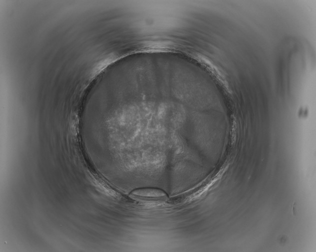 X0000096981449200802291134