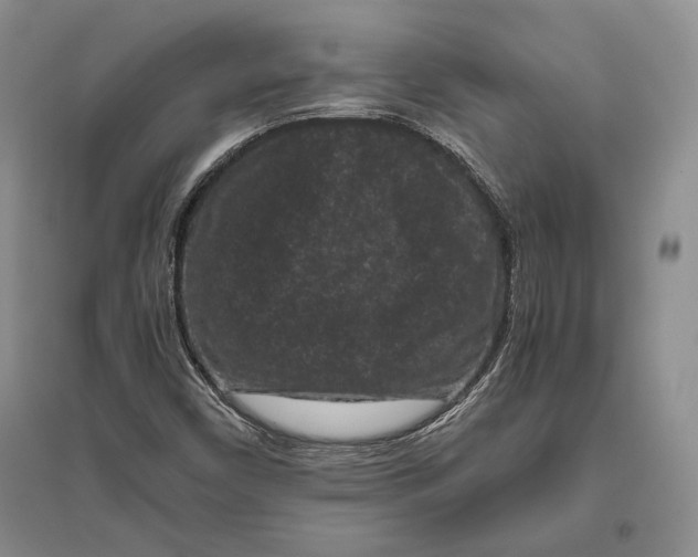 X0000096981450200802291134