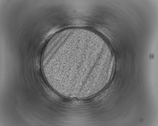 X0000096981451200802291134