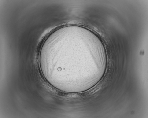 X0000096981454200802291134