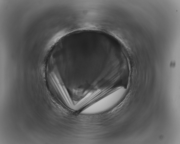 X0000096981455200802291134