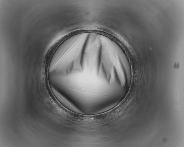 X0000096981456200802291134