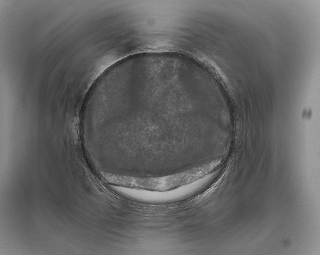 X0000096981457200802291134