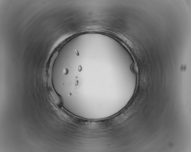 X0000096981458200802291134