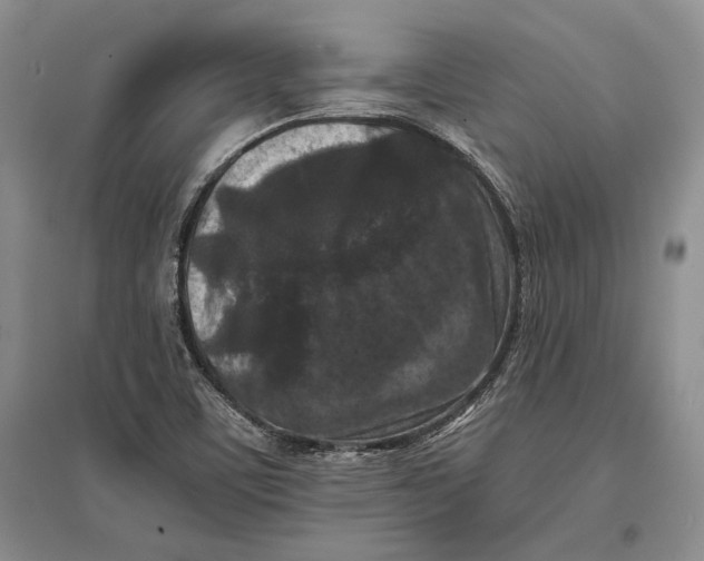 X0000096981459200802291134