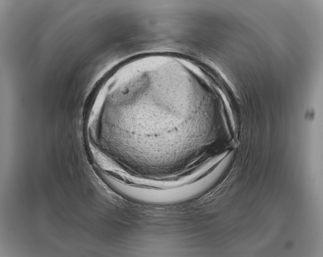 X0000096981460200802291134